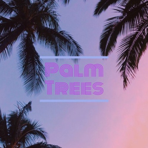 Capable Rock Artist Lil Umbra’s Epic EP ‘Palm Trees’ is Taking the Music World by Storm