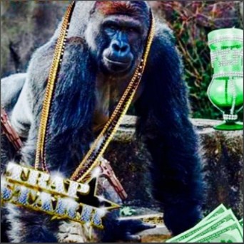 Enjoy the Great Music from Joe’s Basket “Harambe” On Soundcloud