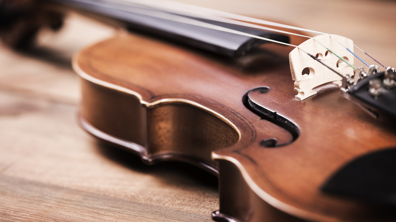 Find Out 13 Best Violins for Beginners 