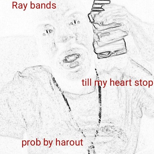 Rayband$ is Flying High With 