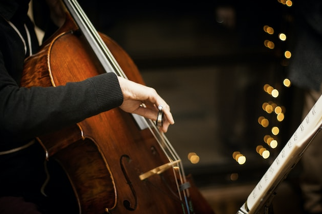 Unveil the Interesting Facts of Cello